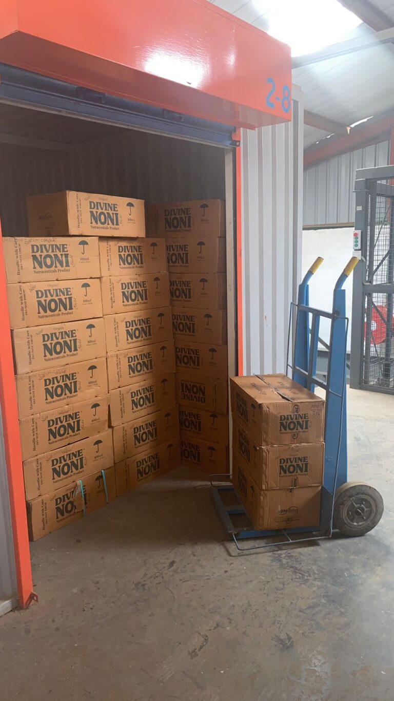 Business storage